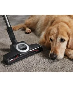 Les meilleures critiques de ???? Miele Turbo-brosse TurboTeQ STB305-3 - Brosses D'aspirateur ⋅ Buses ❤️ -Dyson Sales unnamed file 229